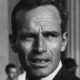 charleston heston